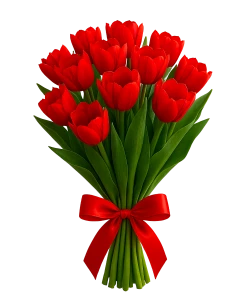 Red Tulips