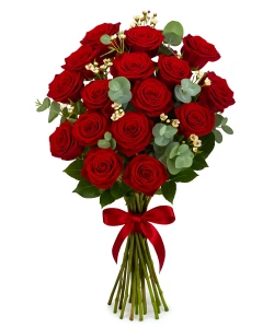50 Red Roses, Eucalypt