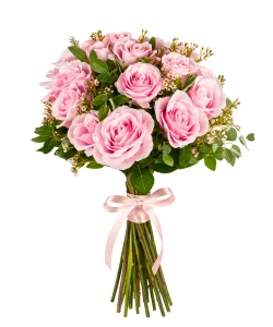 50 Pink Roses, Eucalypt