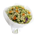 Микс цветов подсолнухов 2