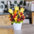 Kytice tulipánů 7