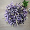 Purple Gypsophila Box 5