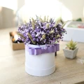 Purple Gypsophila Box 4