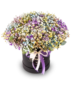 Purple Gypsophila Box