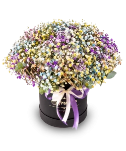 Lila Gypsophila Box