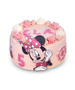 Minnie Mouse Cake