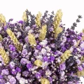 Purple Gypsophila Box 3