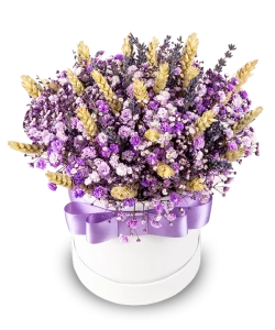 Purple Gypsophila Box