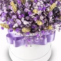 Purple Gypsophila Box 2