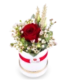 Circle box of roses 1 PC