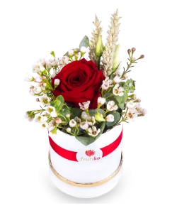 Circle box of roses 1 PC