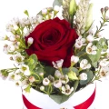 Circle box of roses 1 PC 3