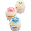 Flower Cupcakes 2