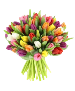 Букет цветных тюльпанов