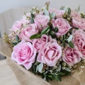 50 Pink Roses, Eucalypt 2