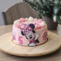 Minnie Mouse Cake 3