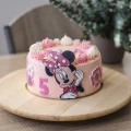 Dort Minnie Mouse 3