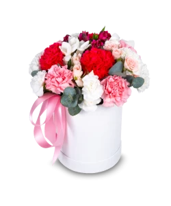 Pink Carnations Mix Box