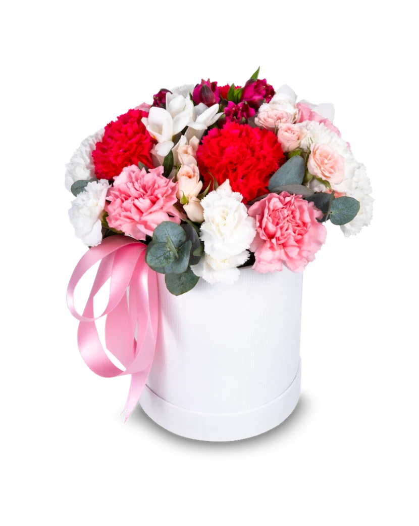 Pink Carnations Mix Box