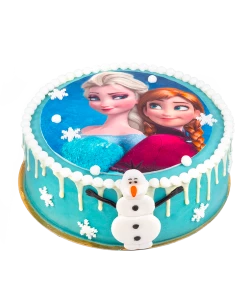 Frozen Cake