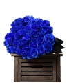 Blaue Rose