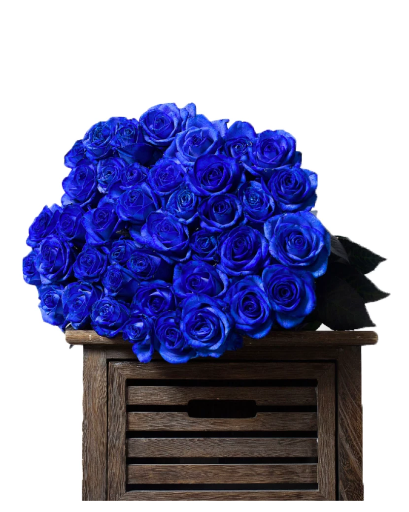 Blaue Rose