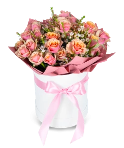 Růžové trsové růže box