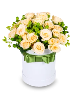 Cream Spray Roses