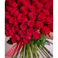 Red Roses 3