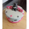 Babykuchen auf Bestellung 4