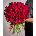 Rudé růže 2