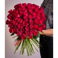 Red Roses 2