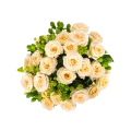 Кремовые кустовые розы 2