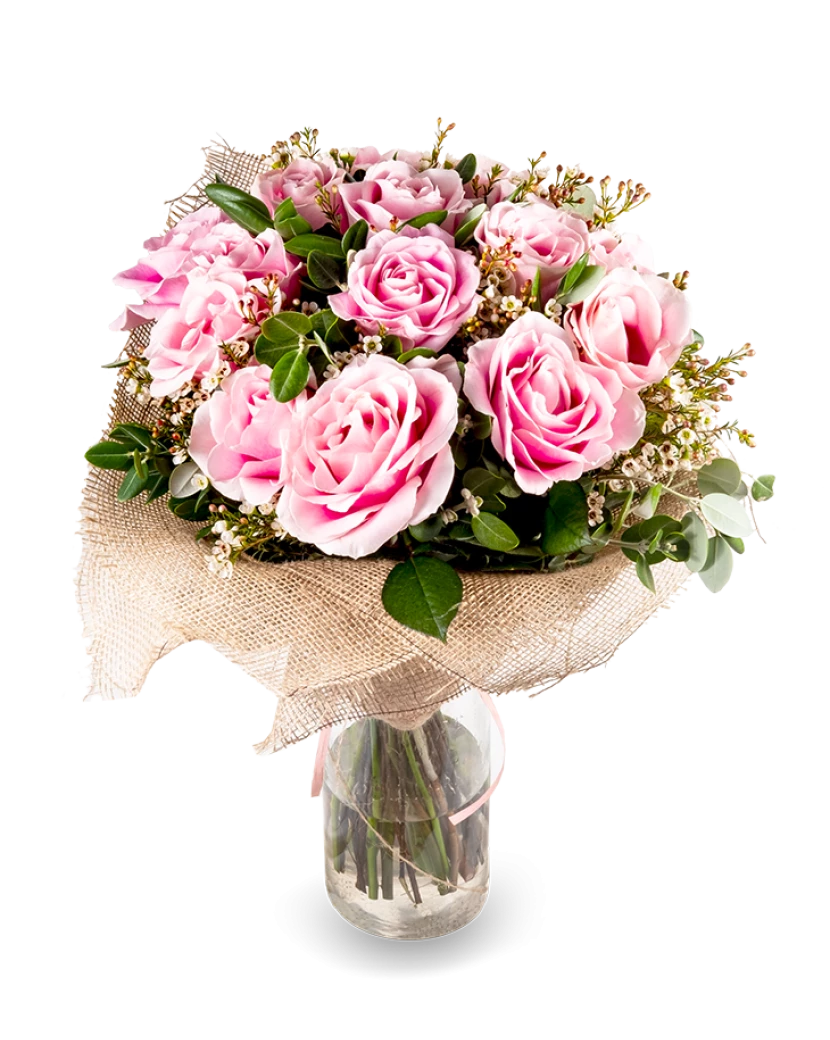 50 Pink Roses, Eucalypt