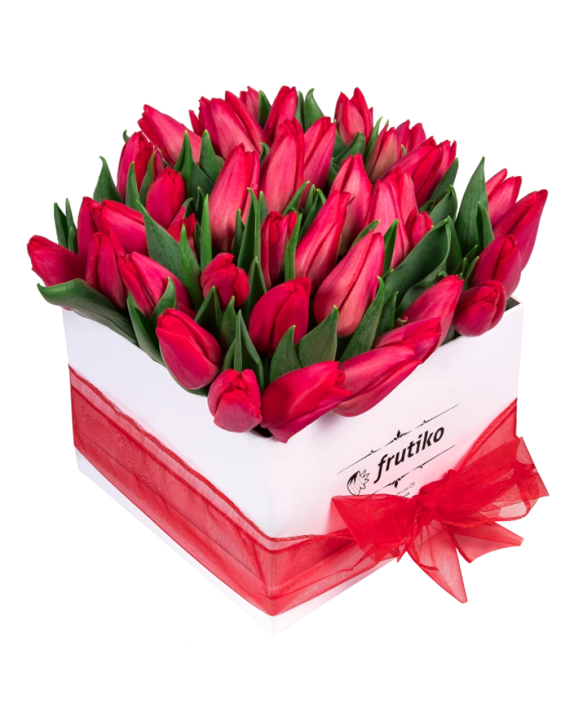 Hranatá Krabice Červených Tulipánů
