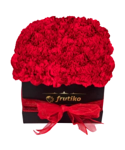 Black Box of Red Carnations 