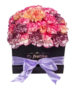Black Box of Multi Color Carnations 
