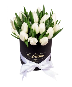 Black Box Oval of White Tulips