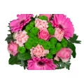 Pink Gerberas Bouquet 2