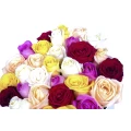 White Oval Box Colorful Roses 3