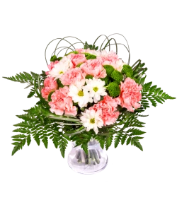Pink carnations and chrysanthemum