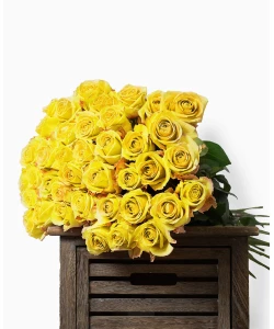 Yellow Roses