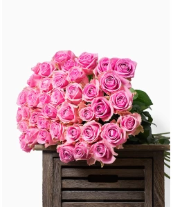 Pink Roses