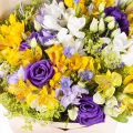 Bouquet of Freesia 2