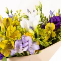 Bouquet of Freesia 3