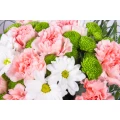 Pink carnations and chrysanthemum 3