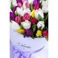 Белая круглая коробка цветных тюльпанов MIX 2