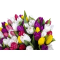 White Oval Box Colorful Tulips 3