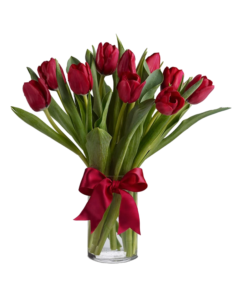 Kрасные тюльпаны