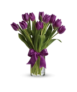 Purple tulips